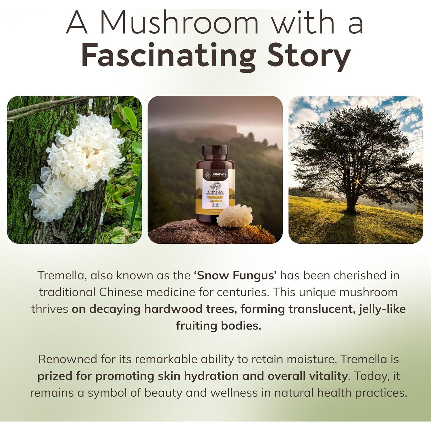 Cápsulas de Hongo Tremella Orgánico Longevity 120 Unidades