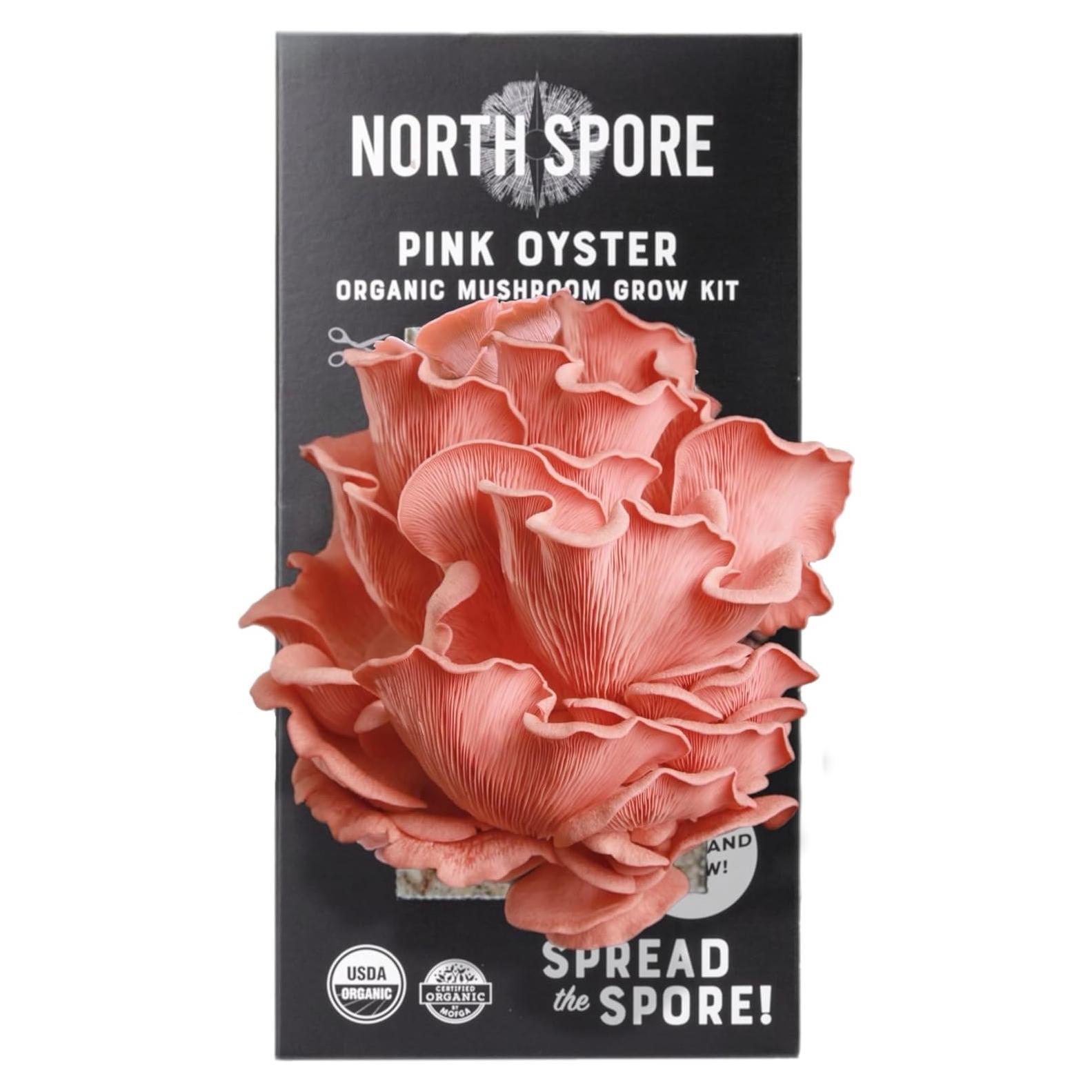 Kit de Crecimiento de Champiñones Ostra Rosa North Spore 1.81 kg