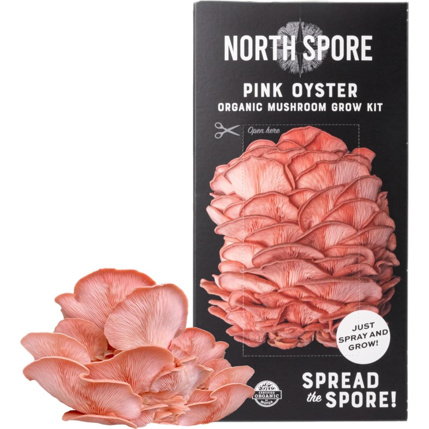 Kit de Crecimiento de Champiñones Ostra Rosa North Spore 1.81 kg