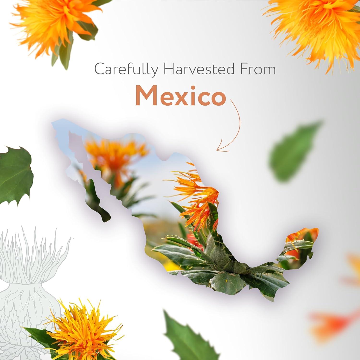 Aceite de Cártamo Orgánico HBNO 475ml - Alto Oleico para Cuidado Personal