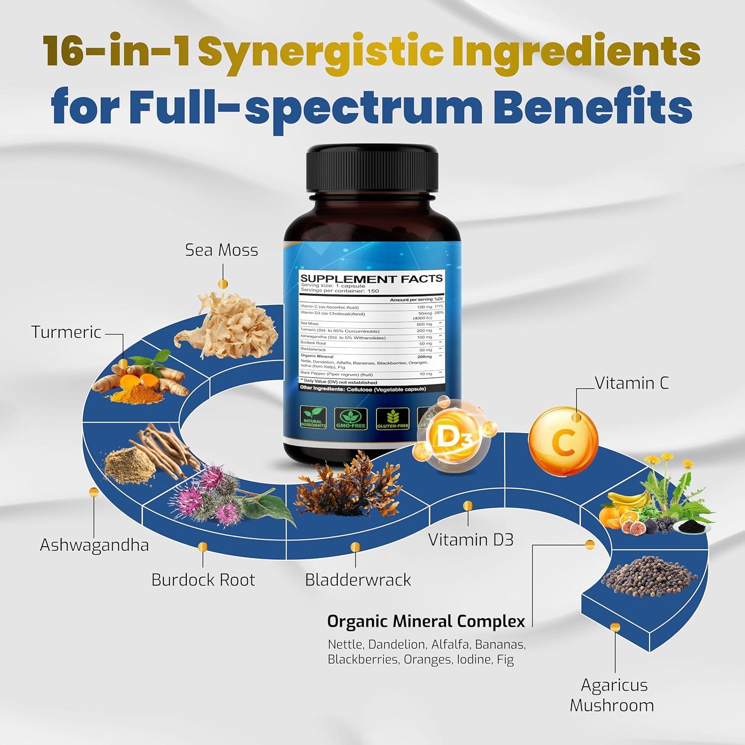 Suplemento de Musgo Marino Vegatot 150 Cápsulas - Inmunidad y Piel