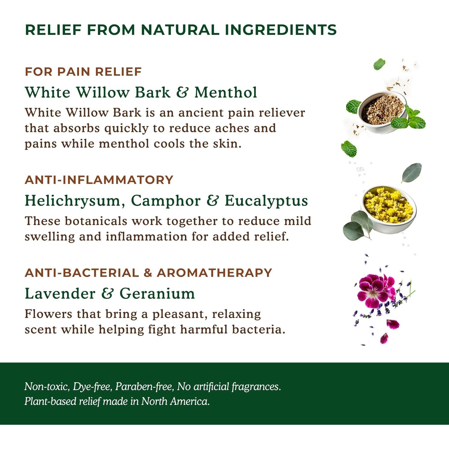 Bálsamo Natural para Alivio del Dolor Nature's Willow 946 ml