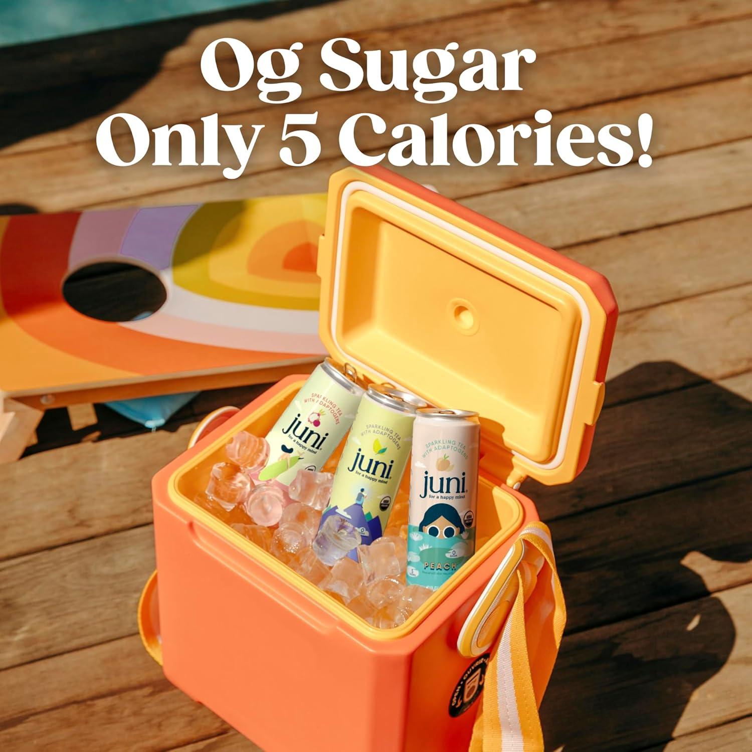 Bebida Espumosa Adaptógena Juni - Paquete Variado de 12 Latas