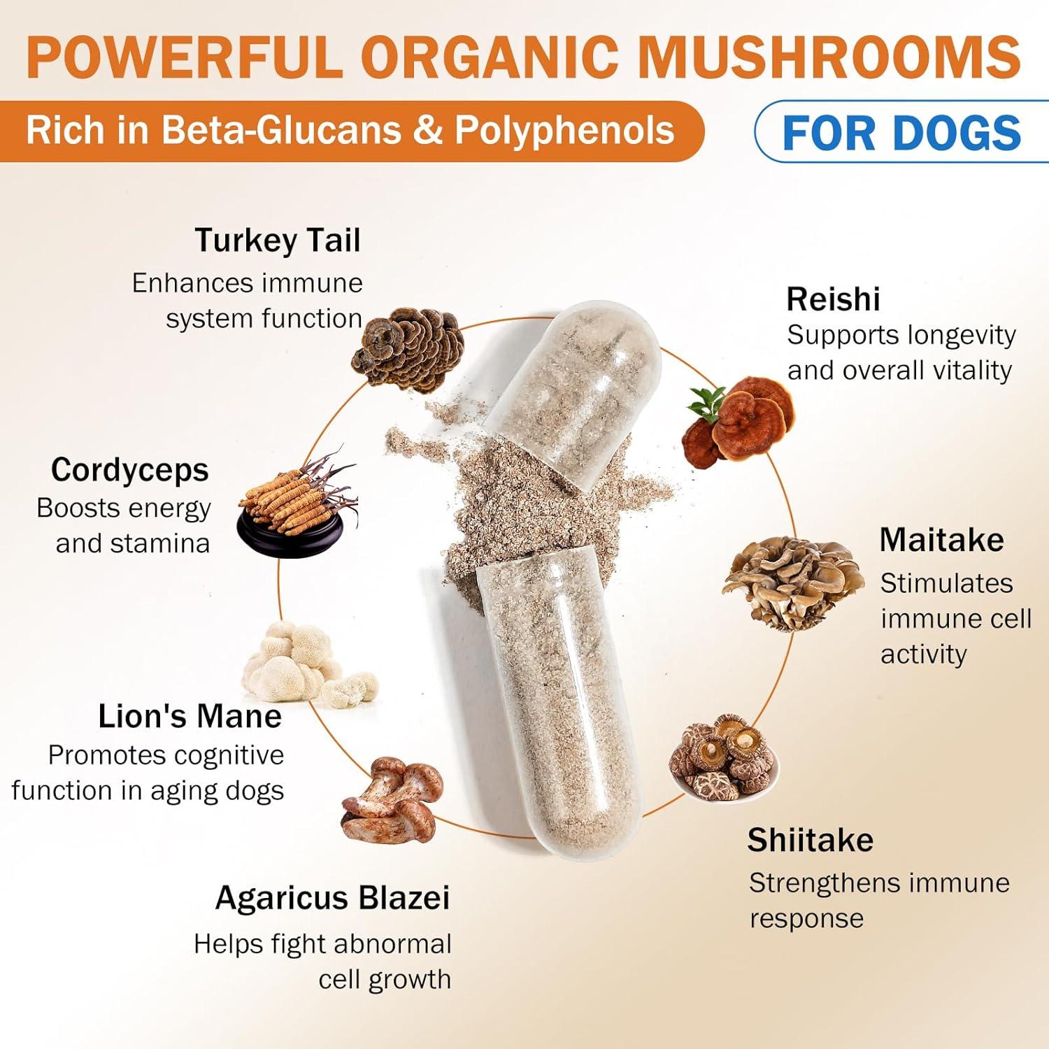 Suplemento de Hongo para Perros PKperekond - Cápsulas para Bultos y Lipomas