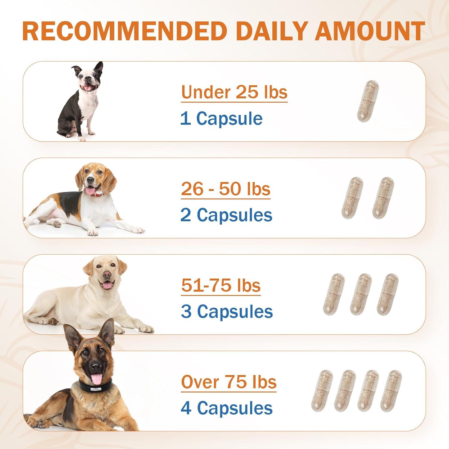 Suplemento de Hongo para Perros PKperekond - Cápsulas para Bultos y Lipomas