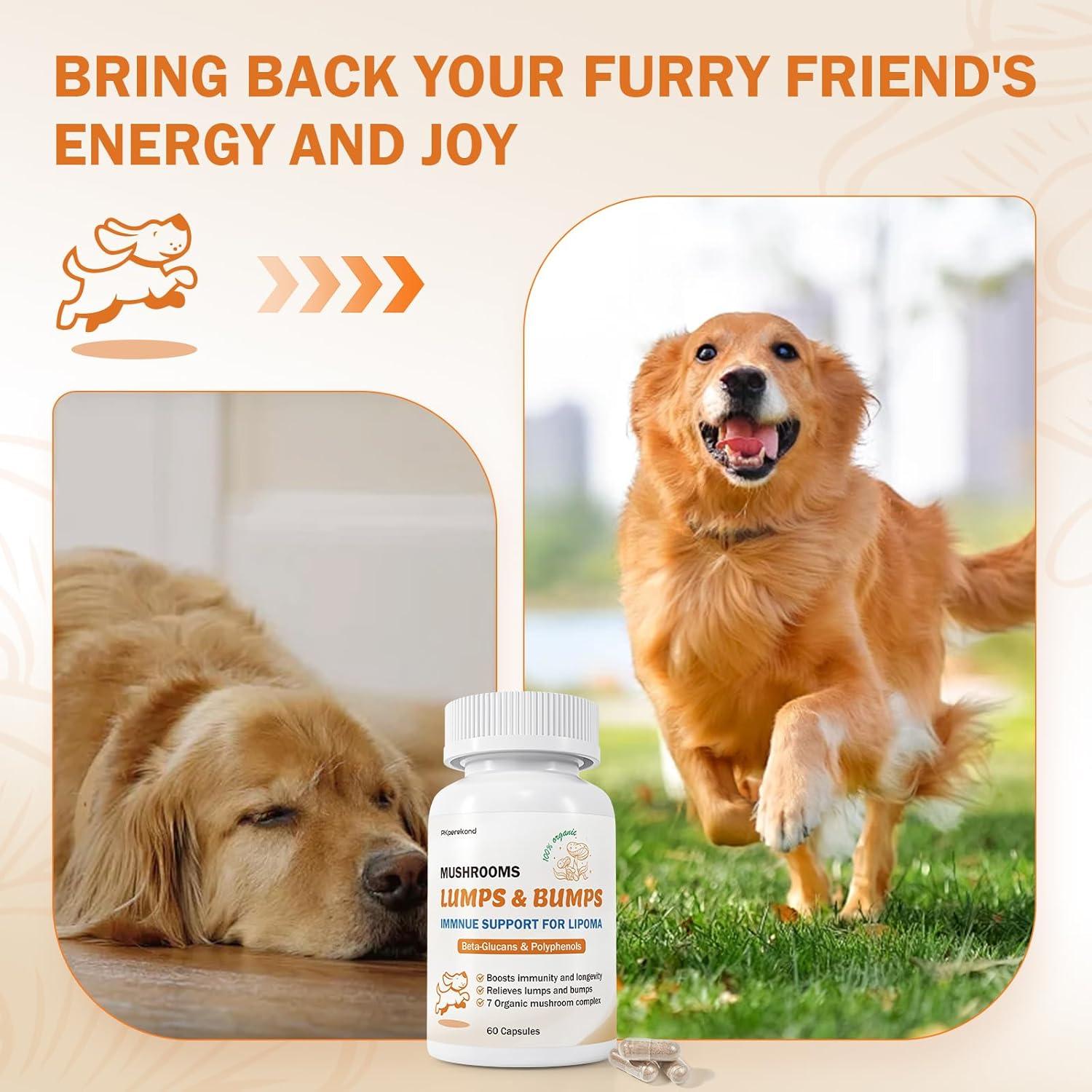 Suplemento de Hongo para Perros PKperekond - Cápsulas para Bultos y Lipomas