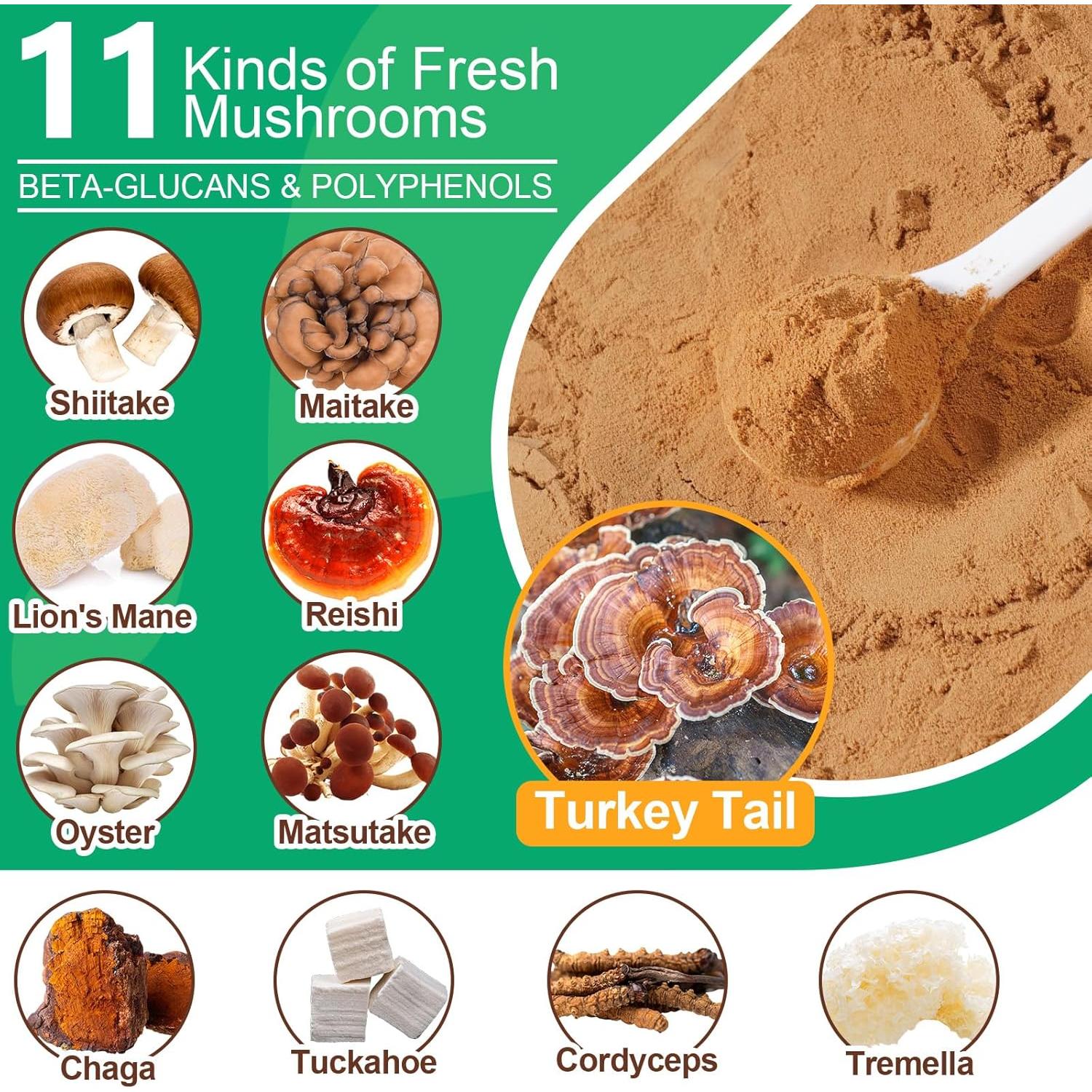 Suplemento en Polvo de Champiñón para Perros y Gatos 120g