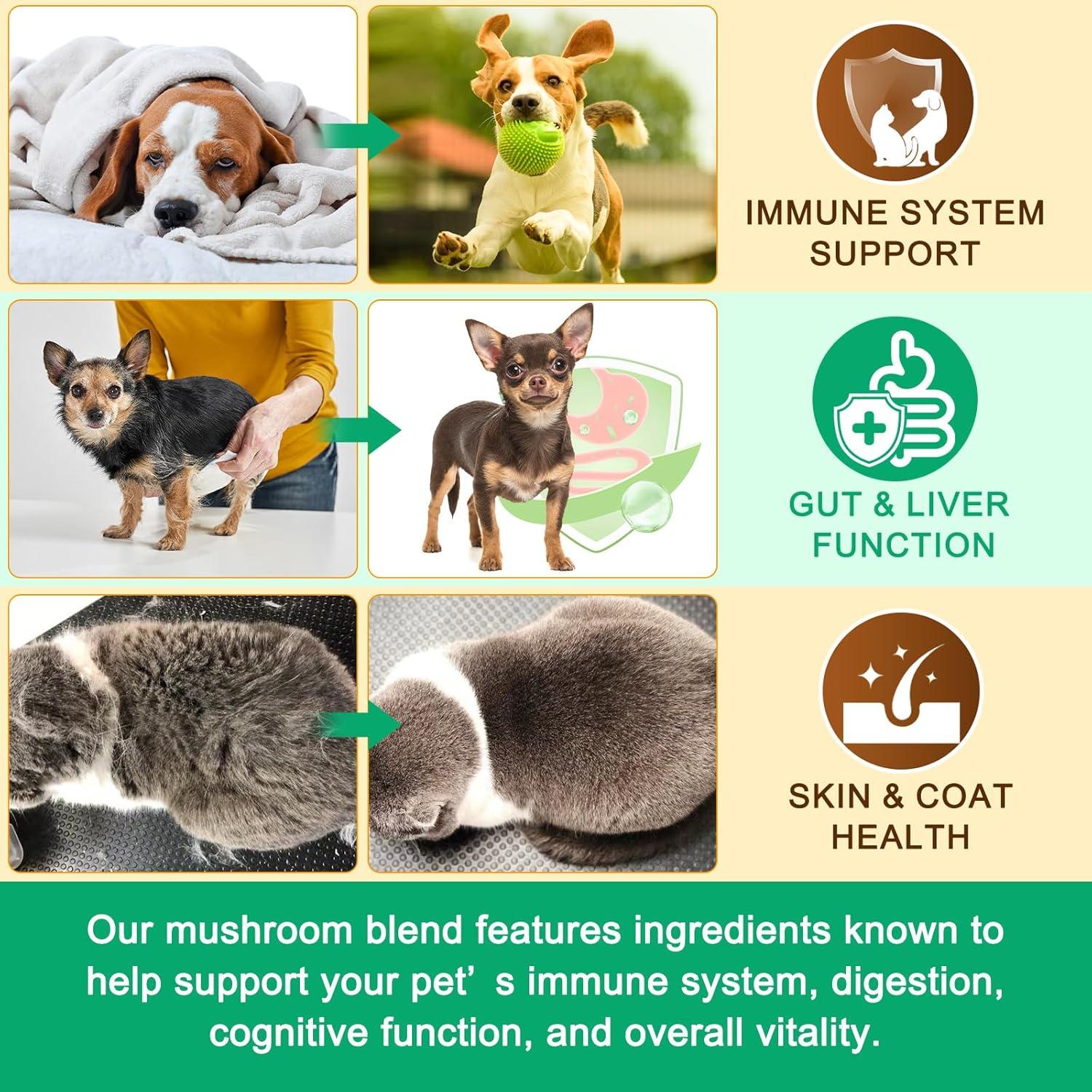 Suplemento en Polvo de Champiñón para Perros y Gatos 120g