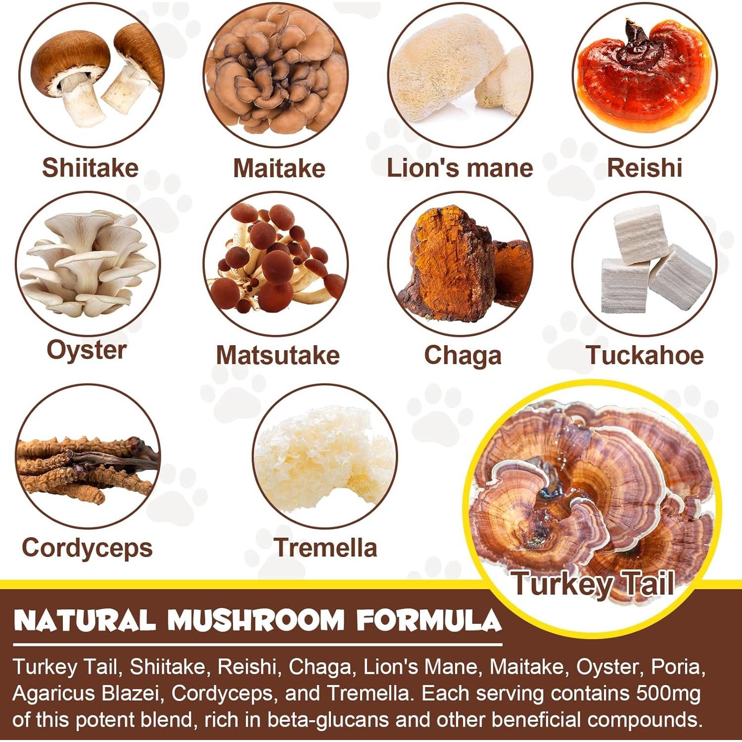 Suplemento de Champiñones Silvestres Shuangjia 125 ml para Mascotas