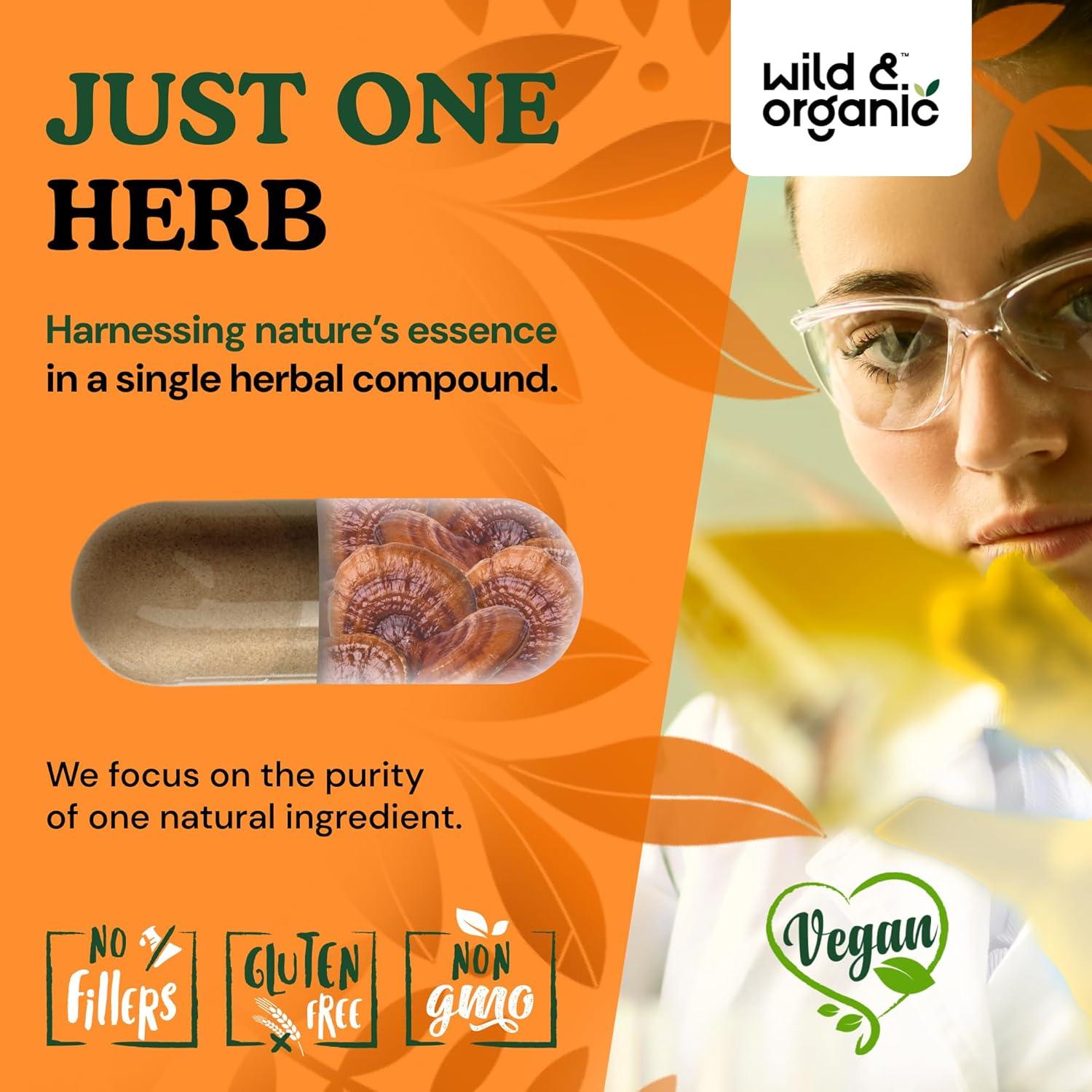 Cápsulas de Hongo Reishi Orgánico 1000 mg - 60 Veganas