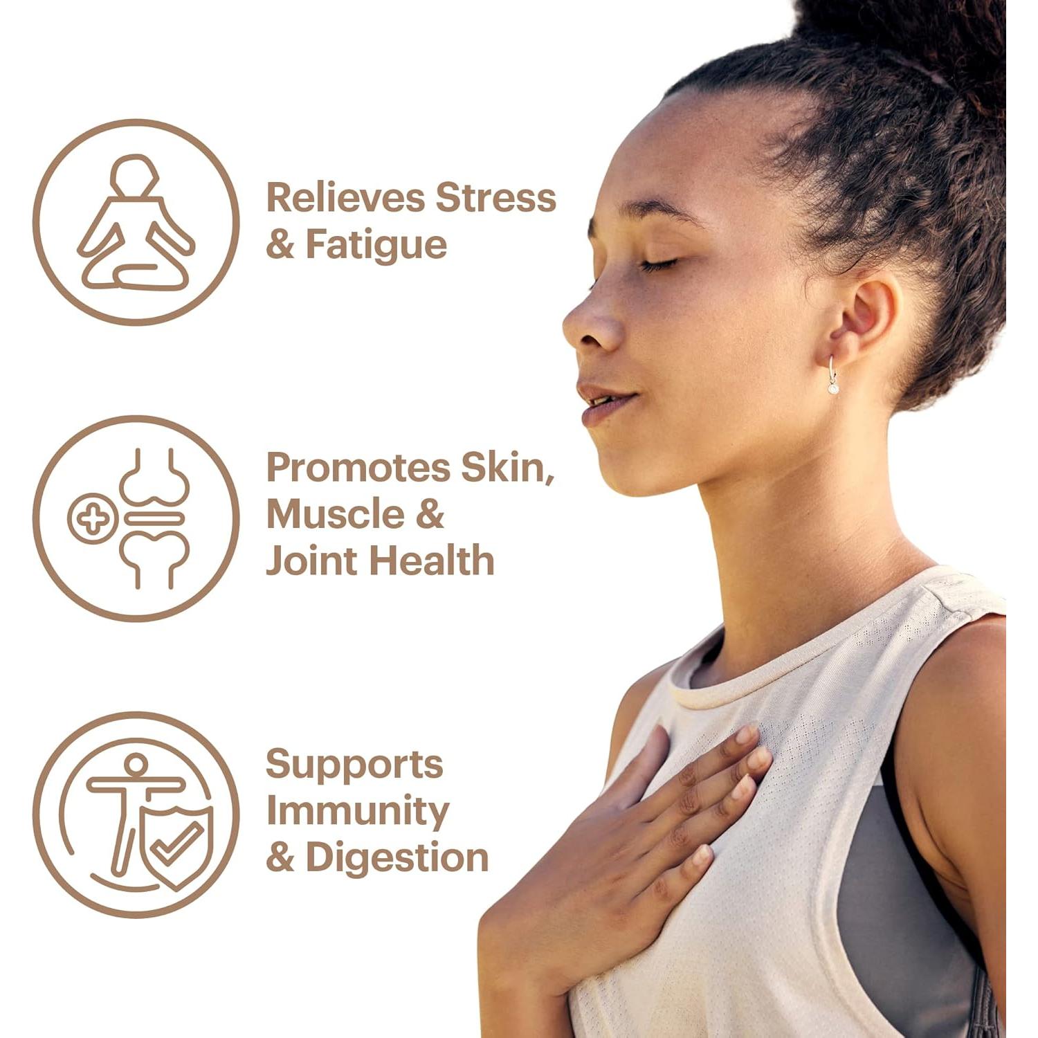 Wellthy Superalimento de Colágeno Cacao Chaga Reishi 230g