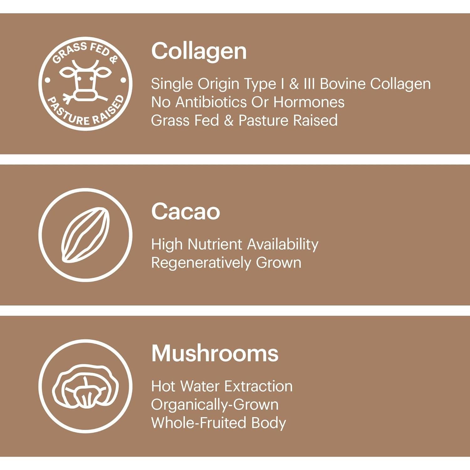 Wellthy Superalimento de Colágeno Cacao Chaga Reishi 230g