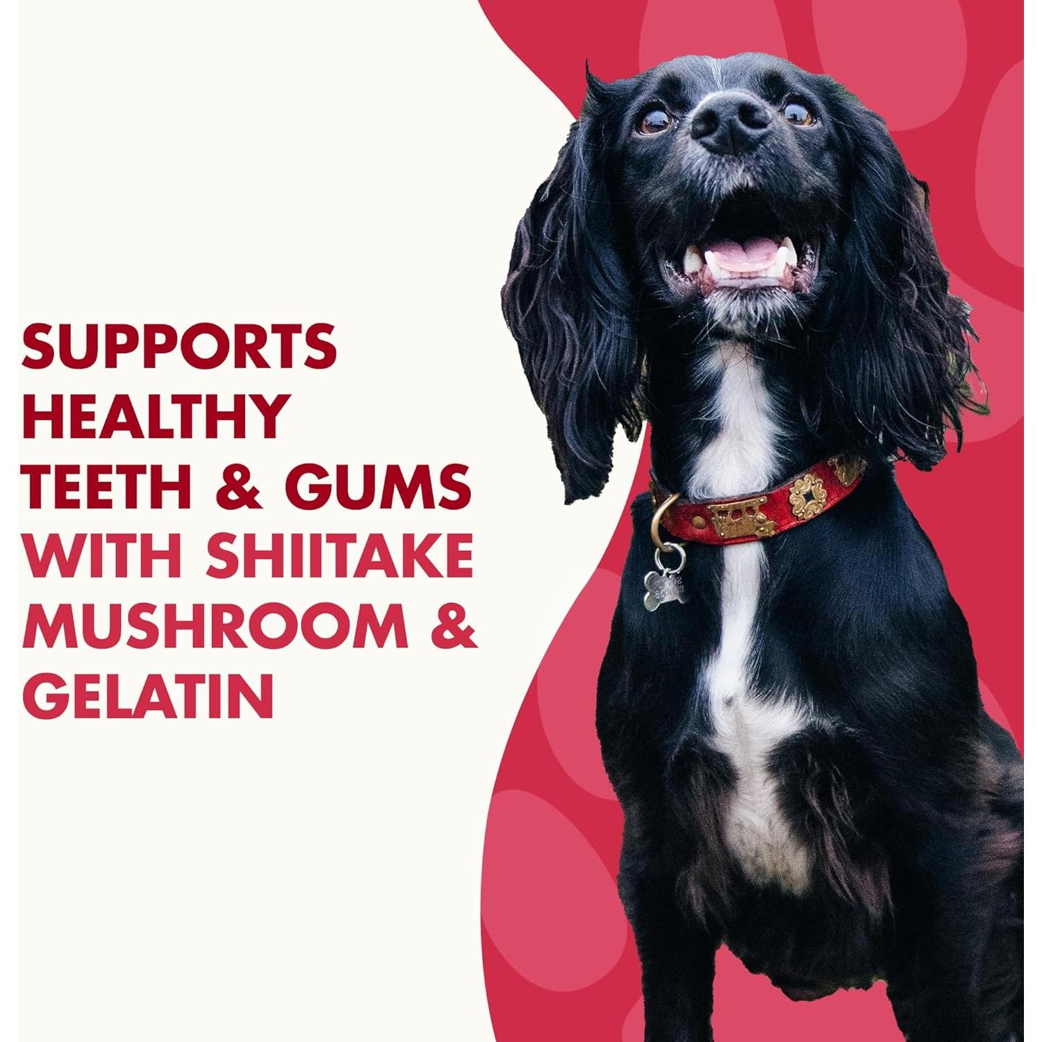 LIQUID-VET Magic-STIX Masticables para Perros Pequeños Sabor Pollo - 30 Unidades