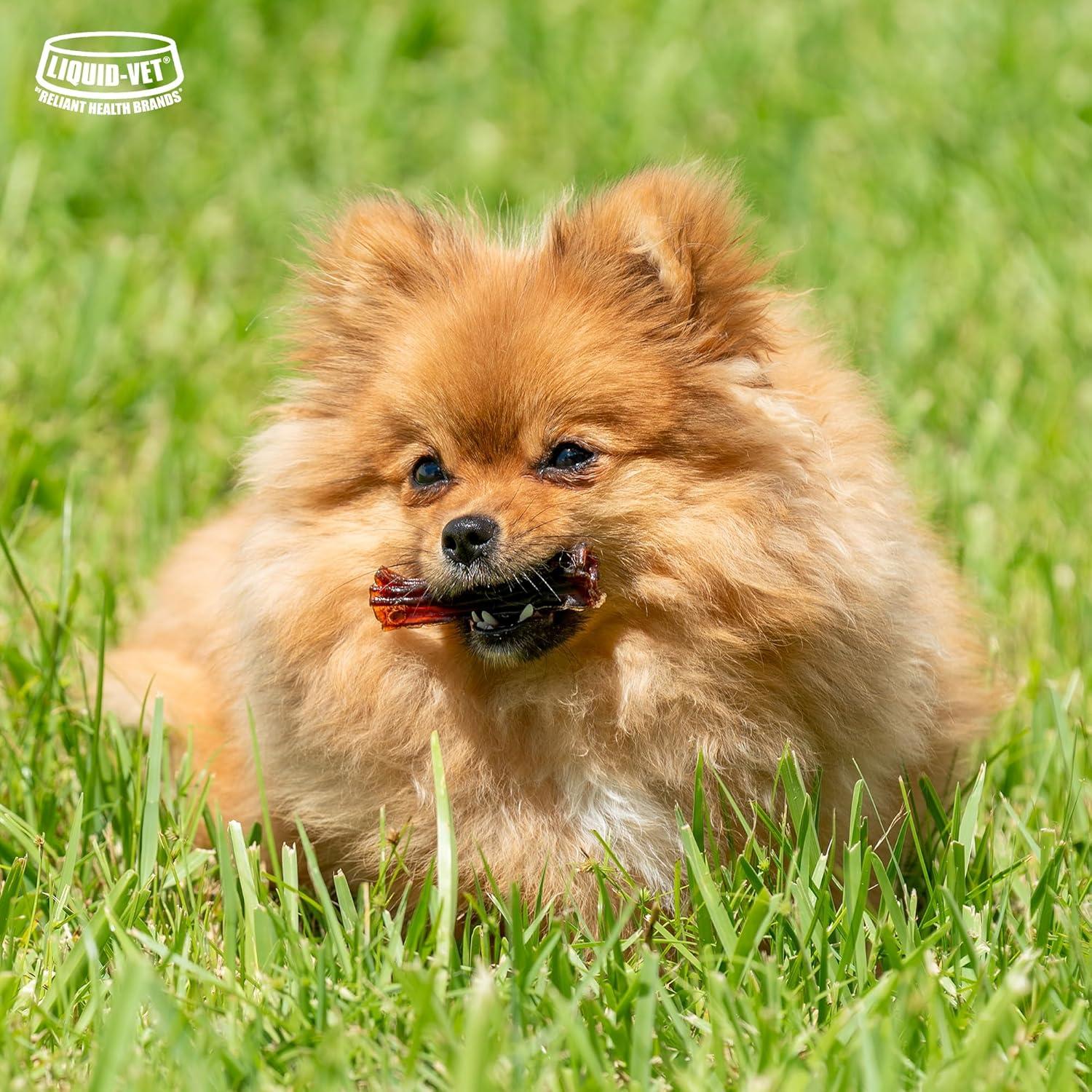 LIQUID-VET Magic-STIX Masticables para Perros Pequeños Sabor Pollo - 30 Unidades