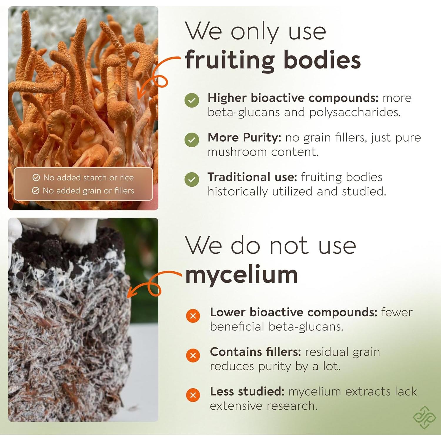 Cápsulas de Hongo Cordyceps Orgánico Longevity 120 Unidades