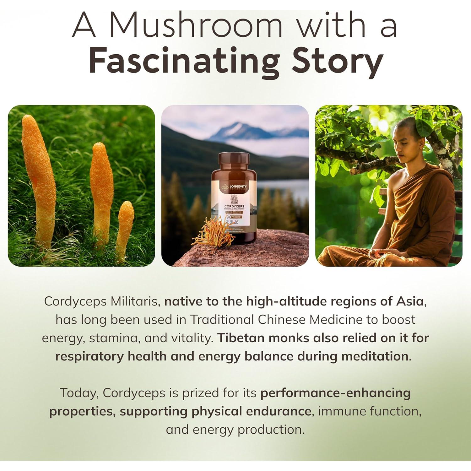 Cápsulas de Hongo Cordyceps Orgánico Longevity 120 Unidades