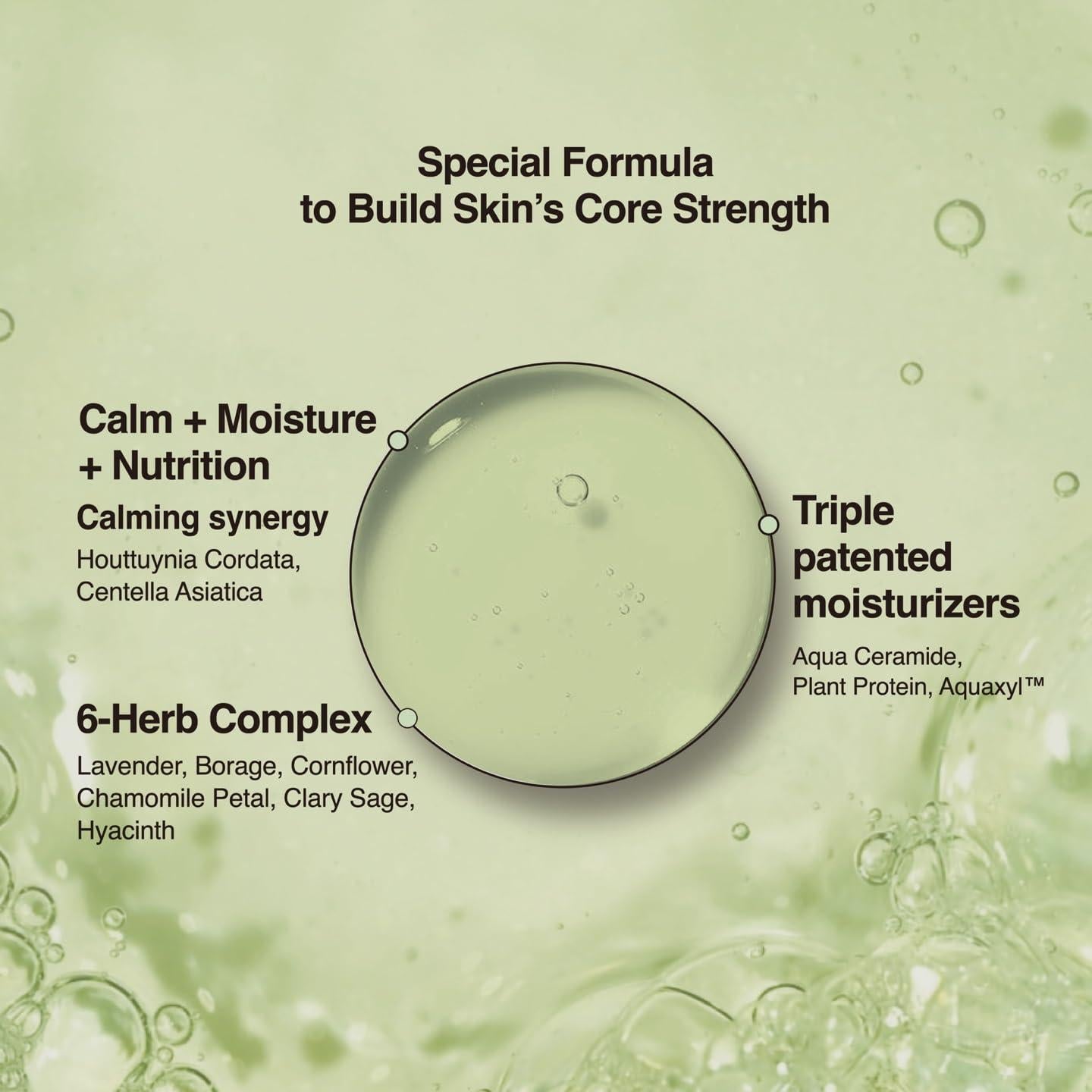 Almohadillas Tonificantes Houttuynia Cordata ANCORS - 70 Unidades