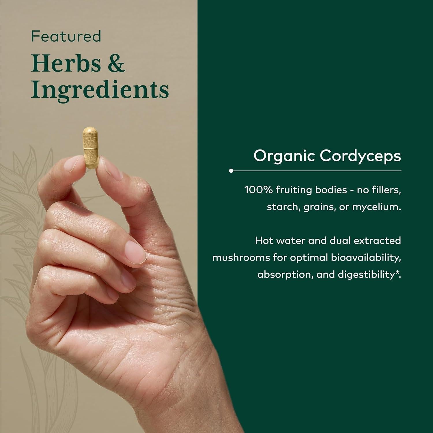 Cápsulas de Hongo Cordyceps Gaia Herbs - 60 Unidades