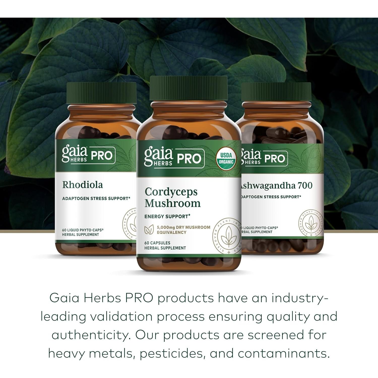 Cápsulas de Hongo Cordyceps Gaia Herbs - 60 Unidades