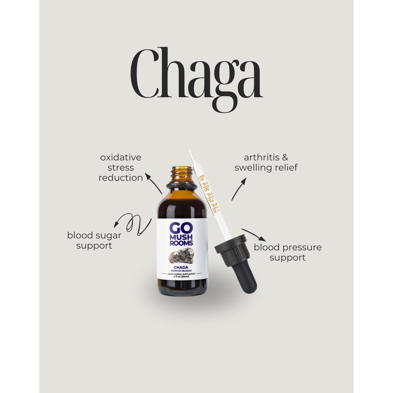 Tintura de Hongo Chaga GO Mushrooms 60 Porciones 60ml Antioxidante