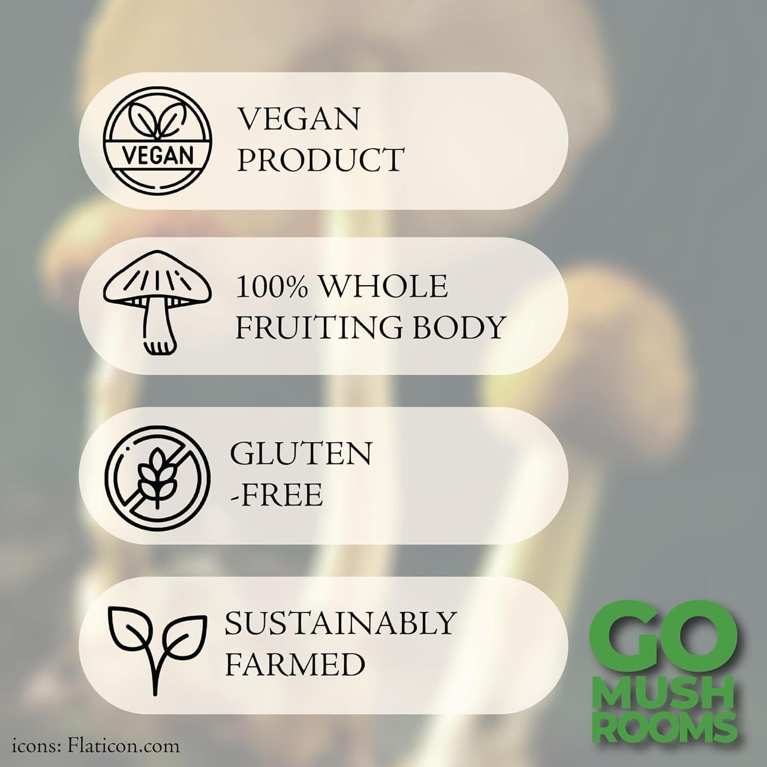 Tintura de Hongo Chaga GO Mushrooms 60 Porciones 60ml Antioxidante