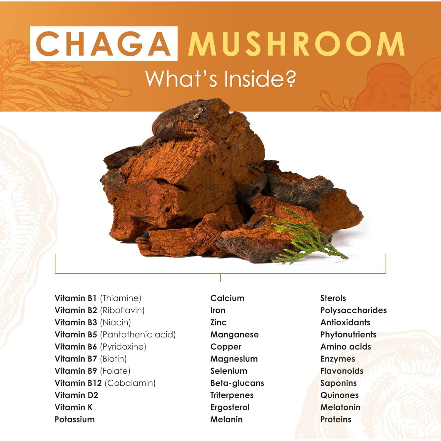 Extracto de Hongo Chaga en Polvo Orgánico 60g - Purest Mushrooms