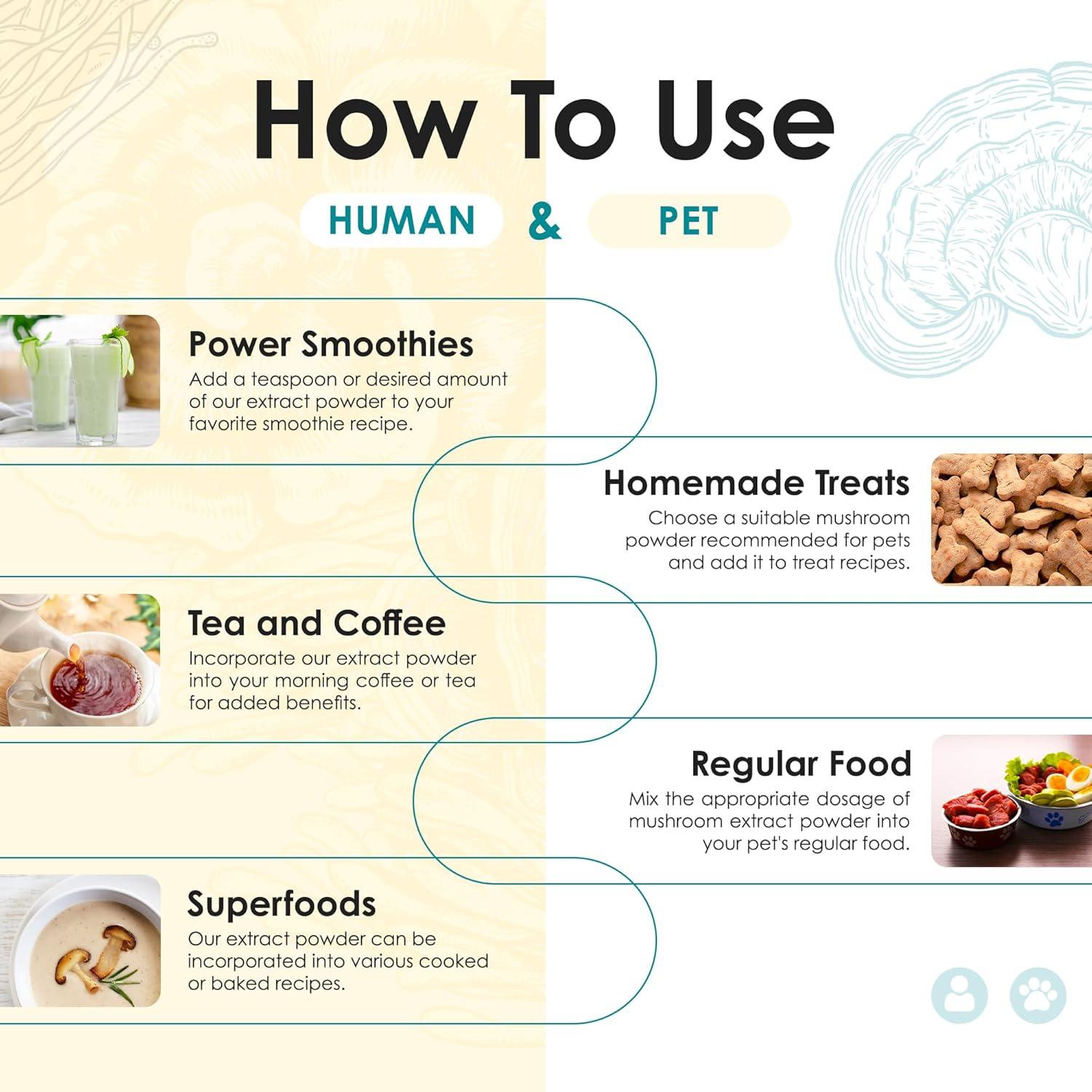 Extracto de Hongo Chaga en Polvo Orgánico 60g - Purest Mushrooms