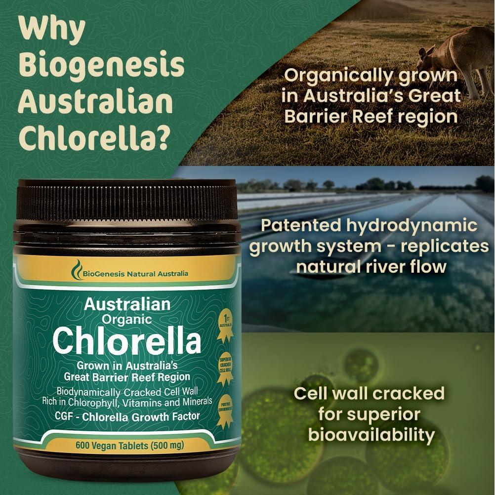 Tabletas de Chlorella Orgánica BioGenesis 600 Unidades 500mg