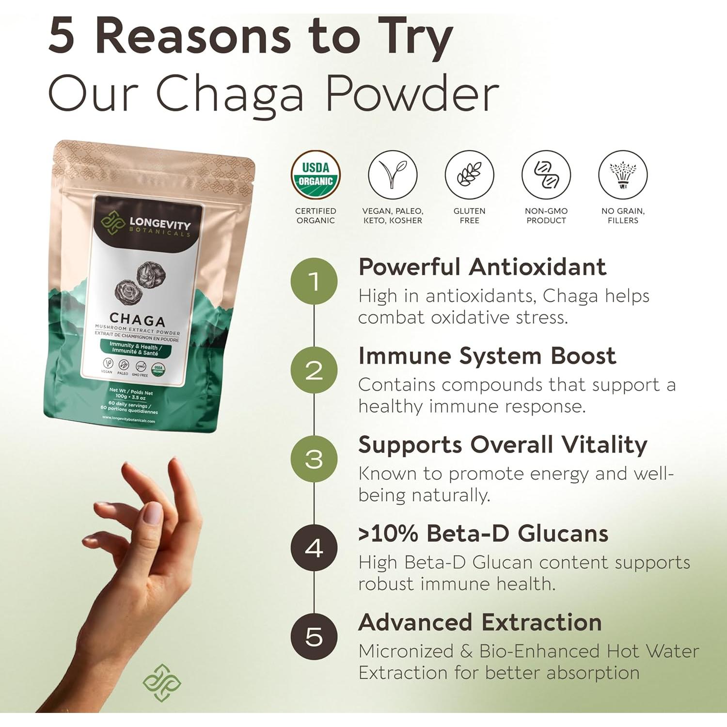 Extracto en polvo de hongo Chaga orgánico Longevity 100g - 10:1