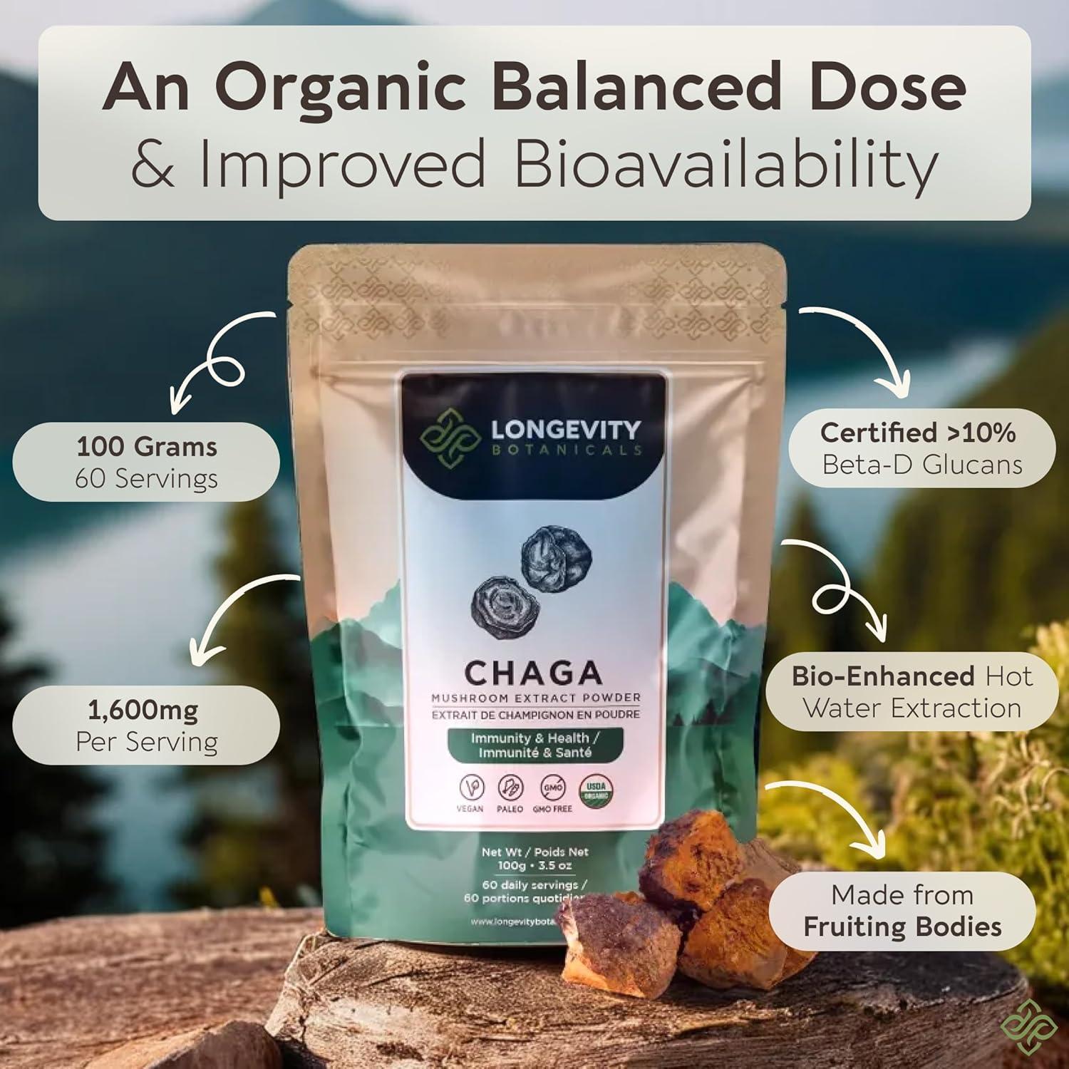 Extracto en polvo de hongo Chaga orgánico Longevity 100g - 10:1