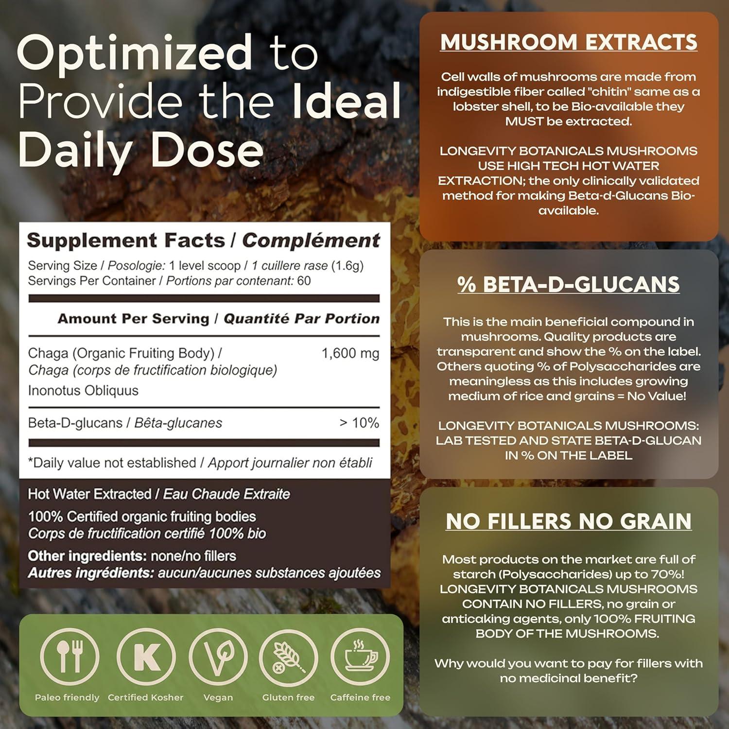 Extracto en polvo de hongo Chaga orgánico Longevity 100g - 10:1