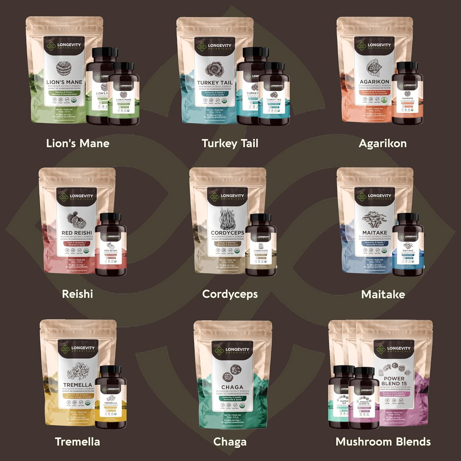 Extracto en polvo de hongo Chaga orgánico Longevity 100g - 10:1