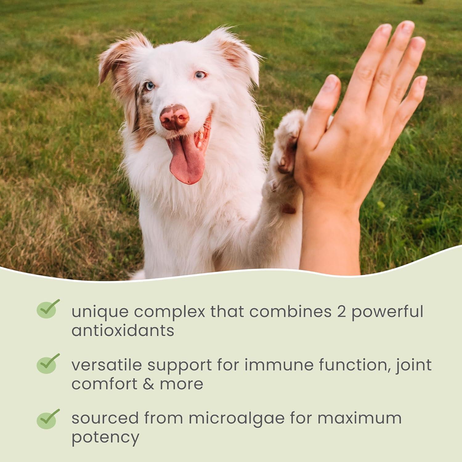 Dr. Mercola SpiruGreen para Mascotas 180 tabletas - Salud y Vitalidad