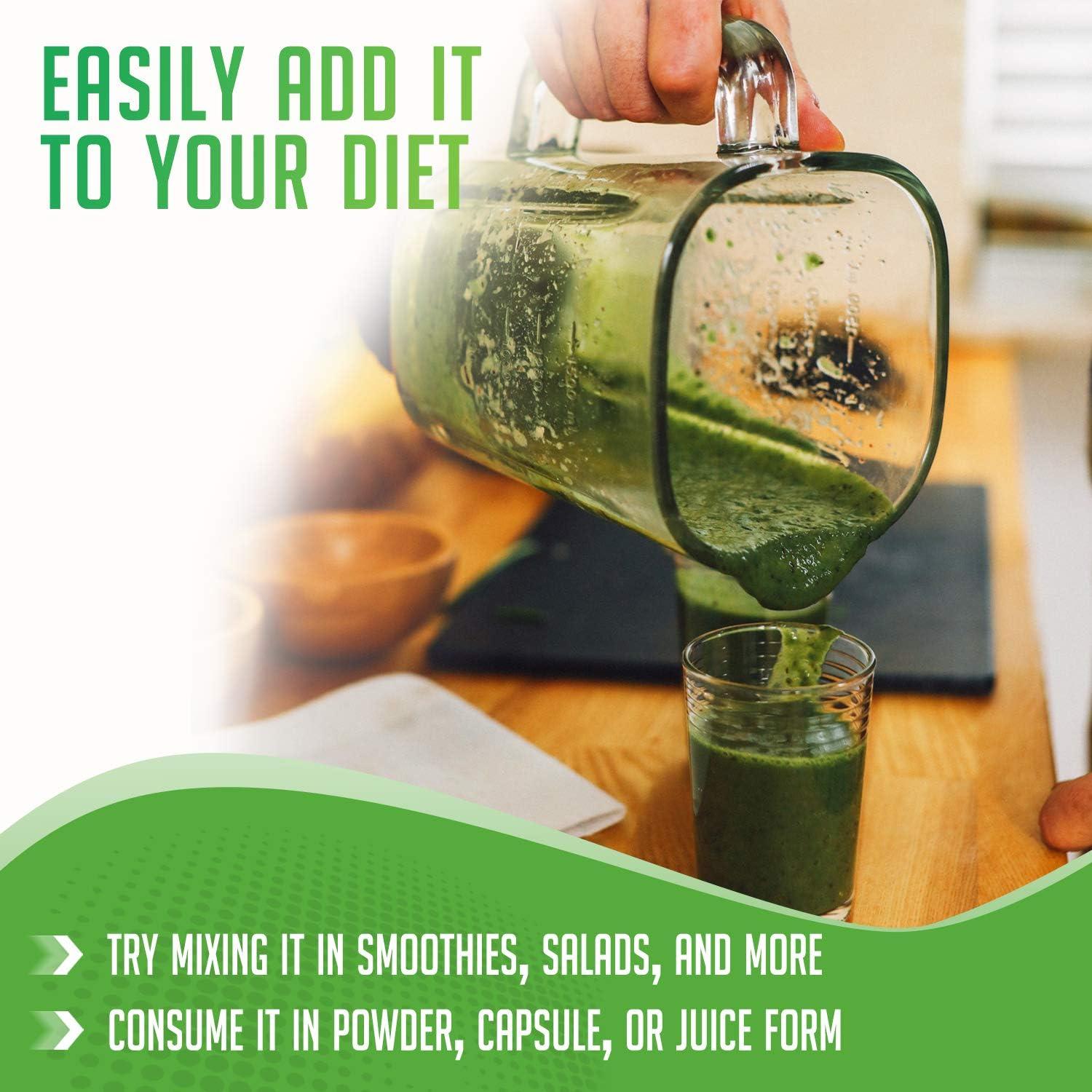 Jugo de Pasto de Trigo Orgánico en Polvo XPRS Nutra 113.4g