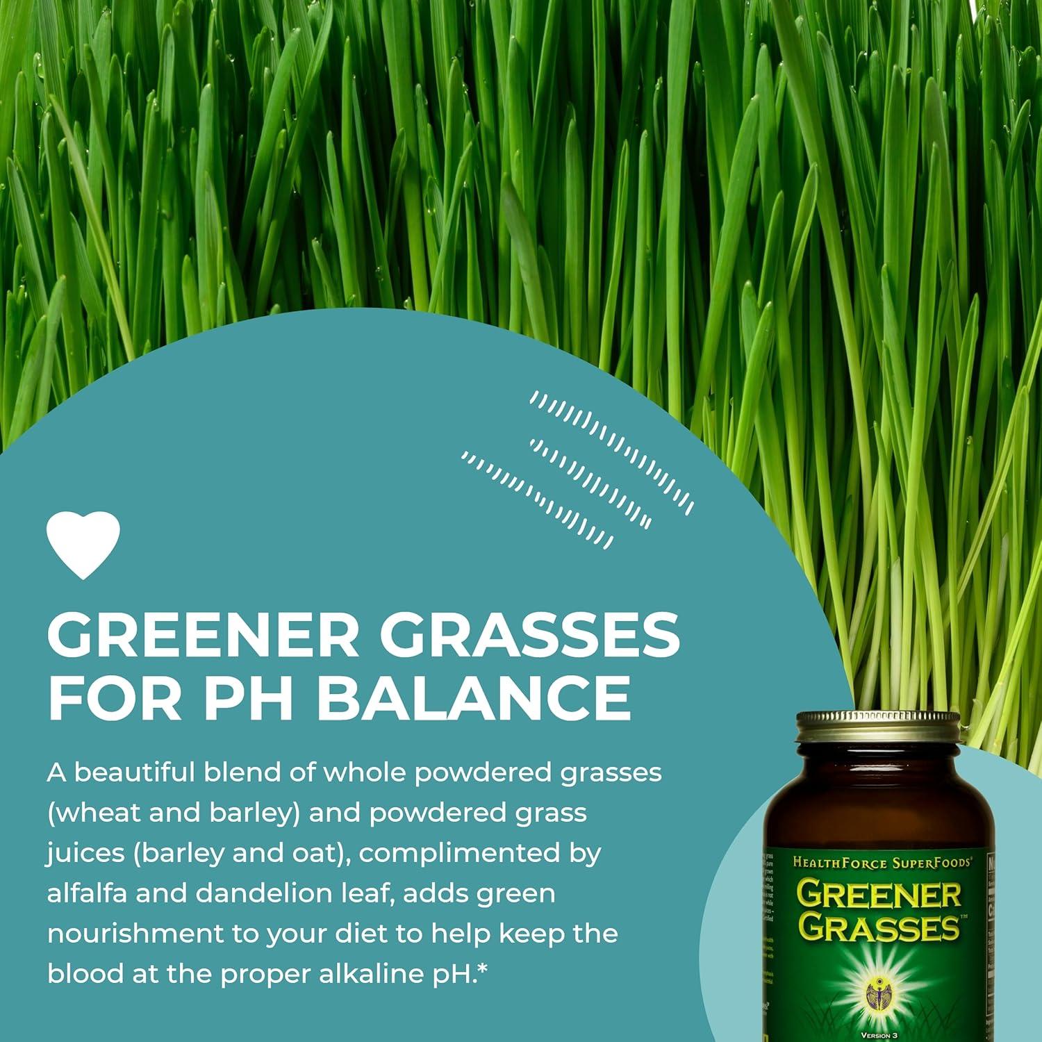 Polvo de Grasses Verdes HealthForce SuperFoods 142g Orgánico