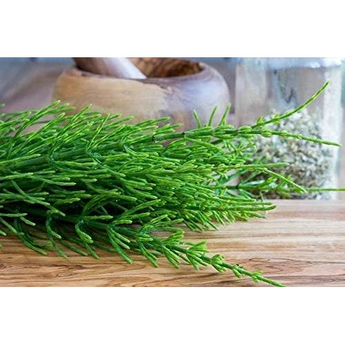 Cola de Caballo Equisetum Arvense Nature Tea 28 g
