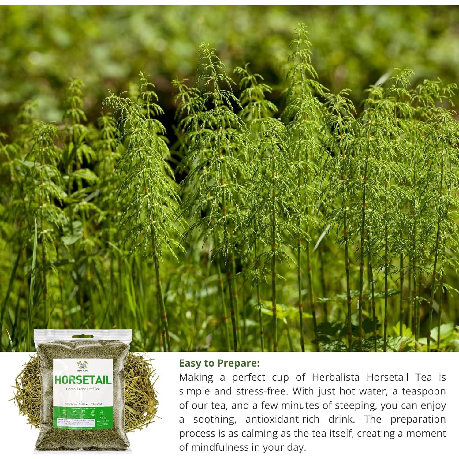 Té de Cola de Caballo Herbalista Premium Suelto 226g 100% Natural