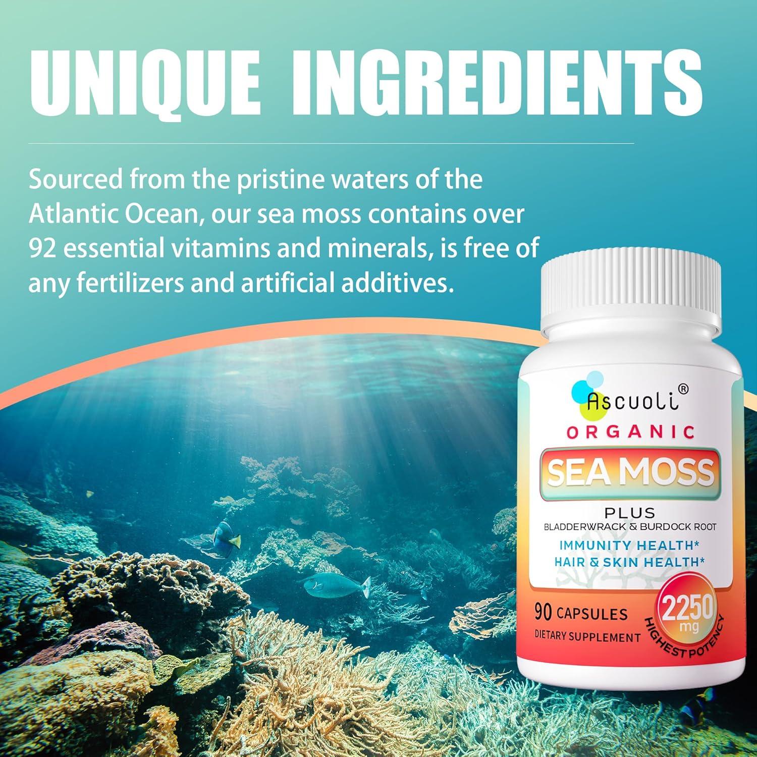 Cápsulas de Musgo Marino Orgánico Ascuoli 2250mg - 90 Unidades