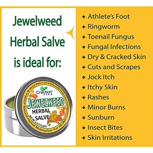 Ungüento de Jewelweed Creation Farm 113 g - Alivio Piel