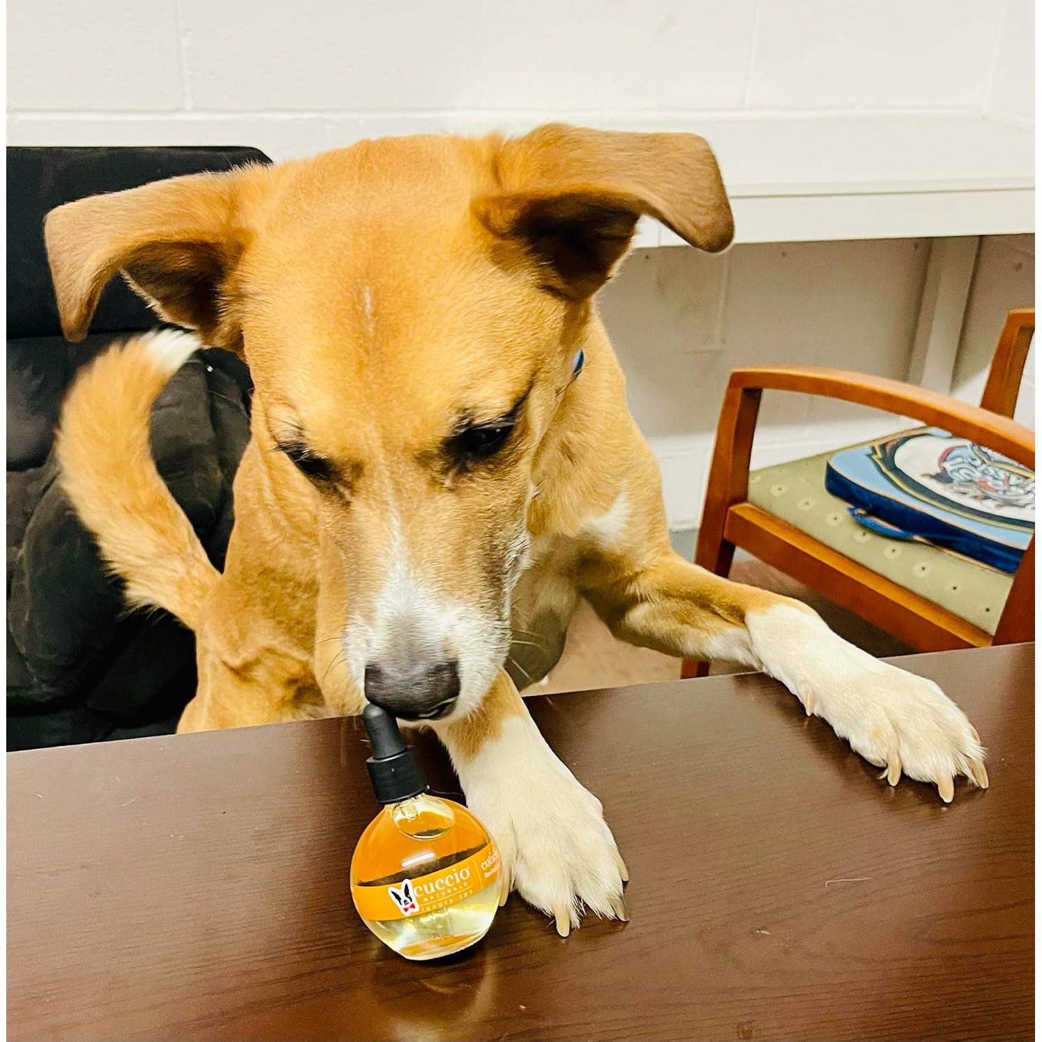 Aceite Revitalizante para Uñas y Cutículas de Perro Warren London - Hidratante y Fortalecedor con Vitamina E