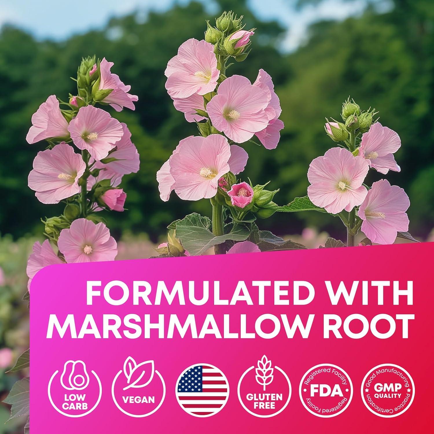 Gomas Keto ACV JOYLI - Paquete de 2 Sin Azúcar 120 Gomas