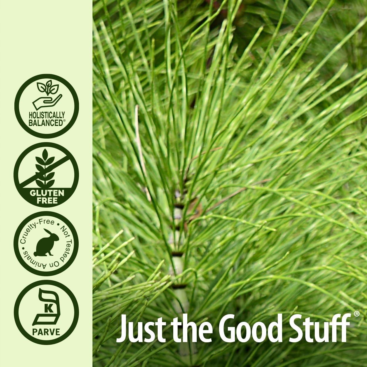 Cápsulas de Cola de Caballo Nature's Answer 90 Conteo | Salud Cabello, Piel y Uñas