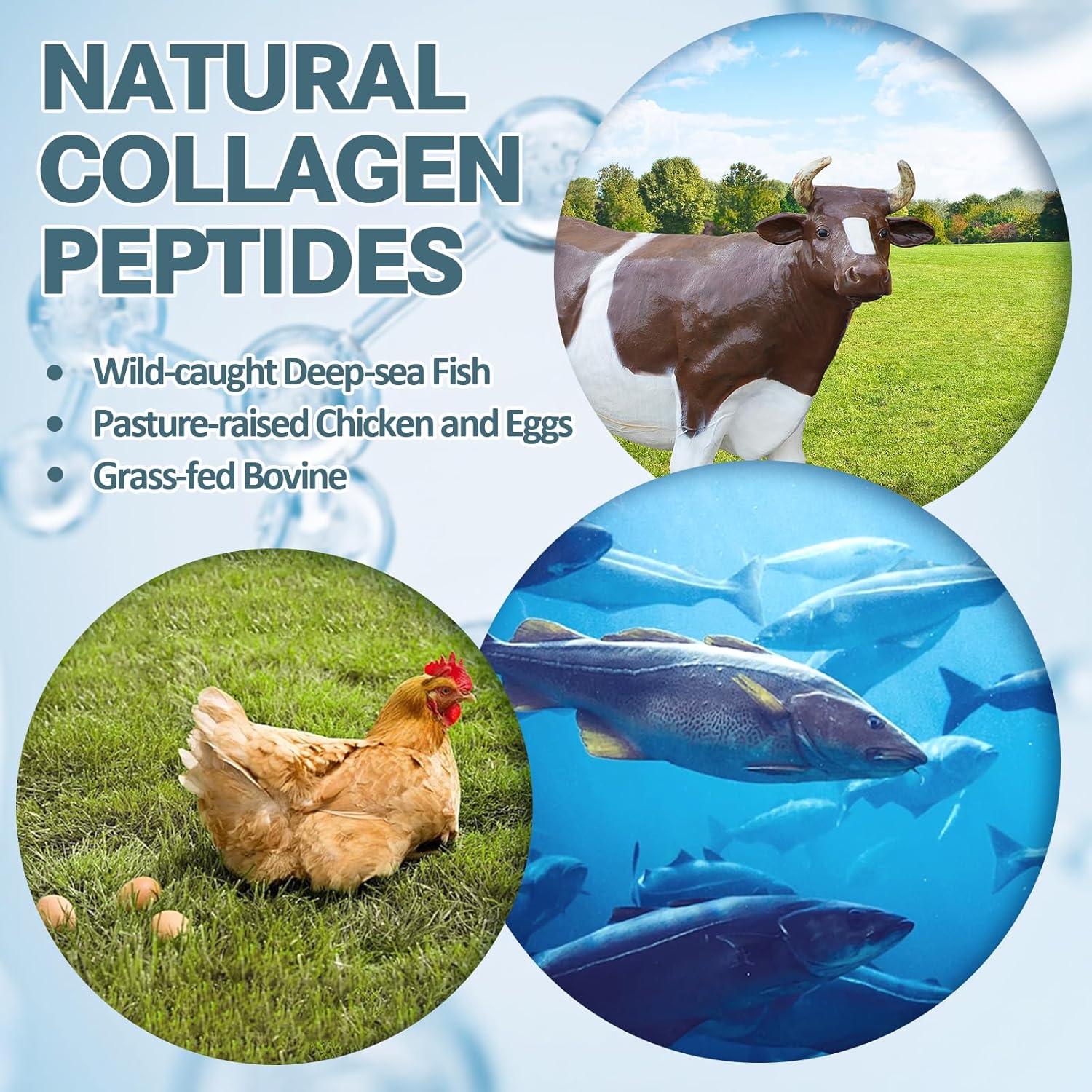 Cápsulas de Colágeno Pro Totaria 120 Caps - 18 en 1 con Biotina