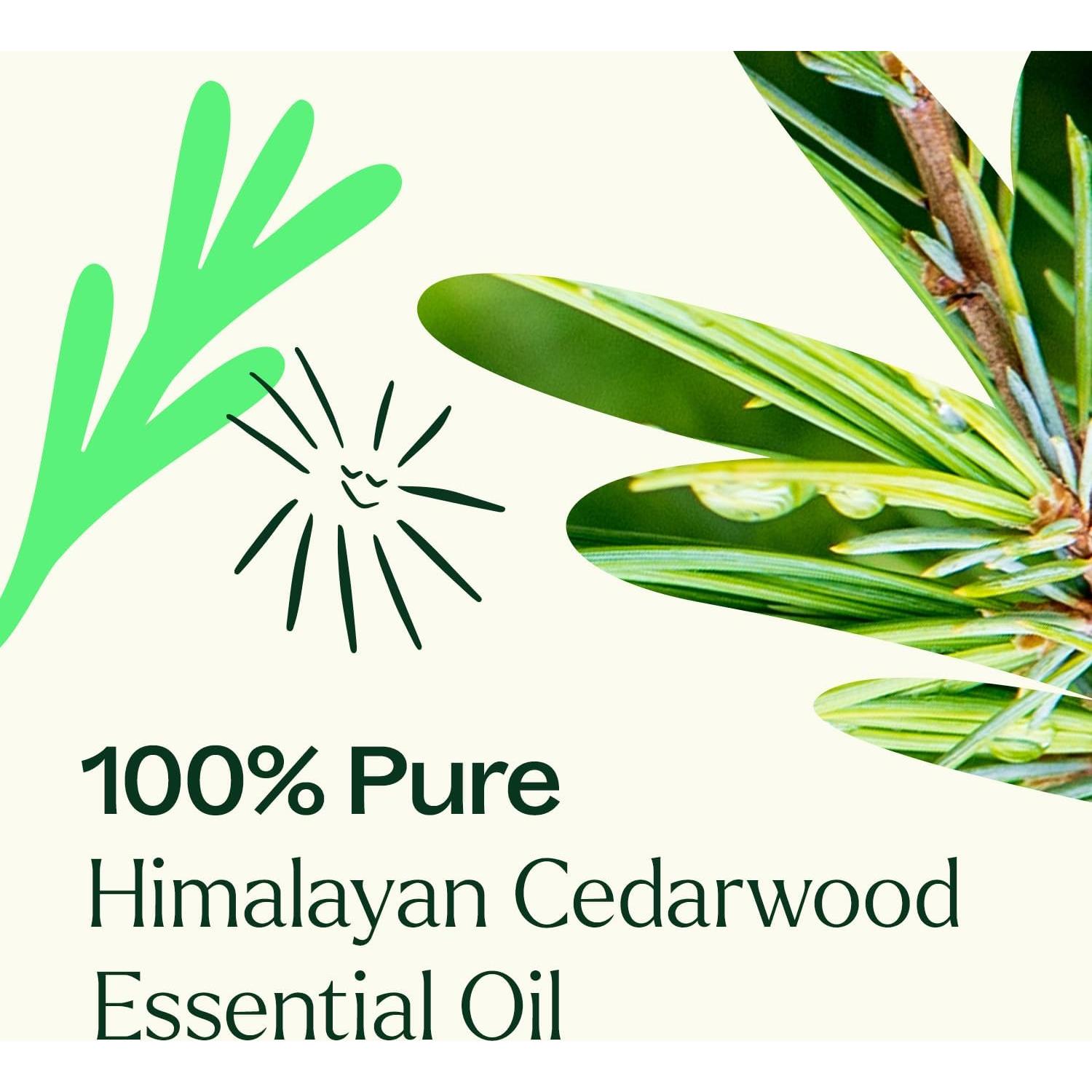 Aceite Esencial Madera de Cedro Plant Therapy 30 mL Puro