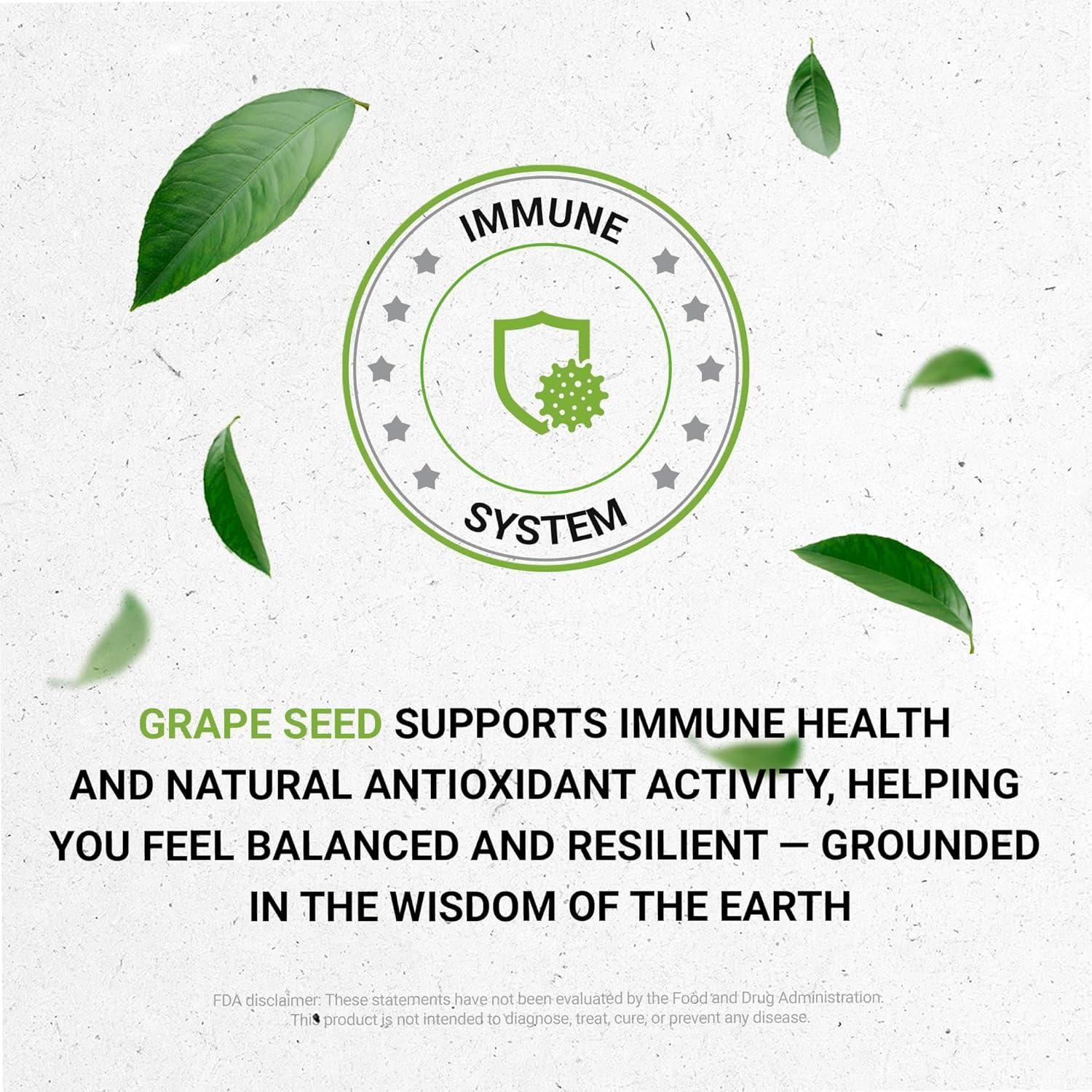 Tintura de Semilla de Uva Sin Alcohol Secrets of the Tribe 118 ml