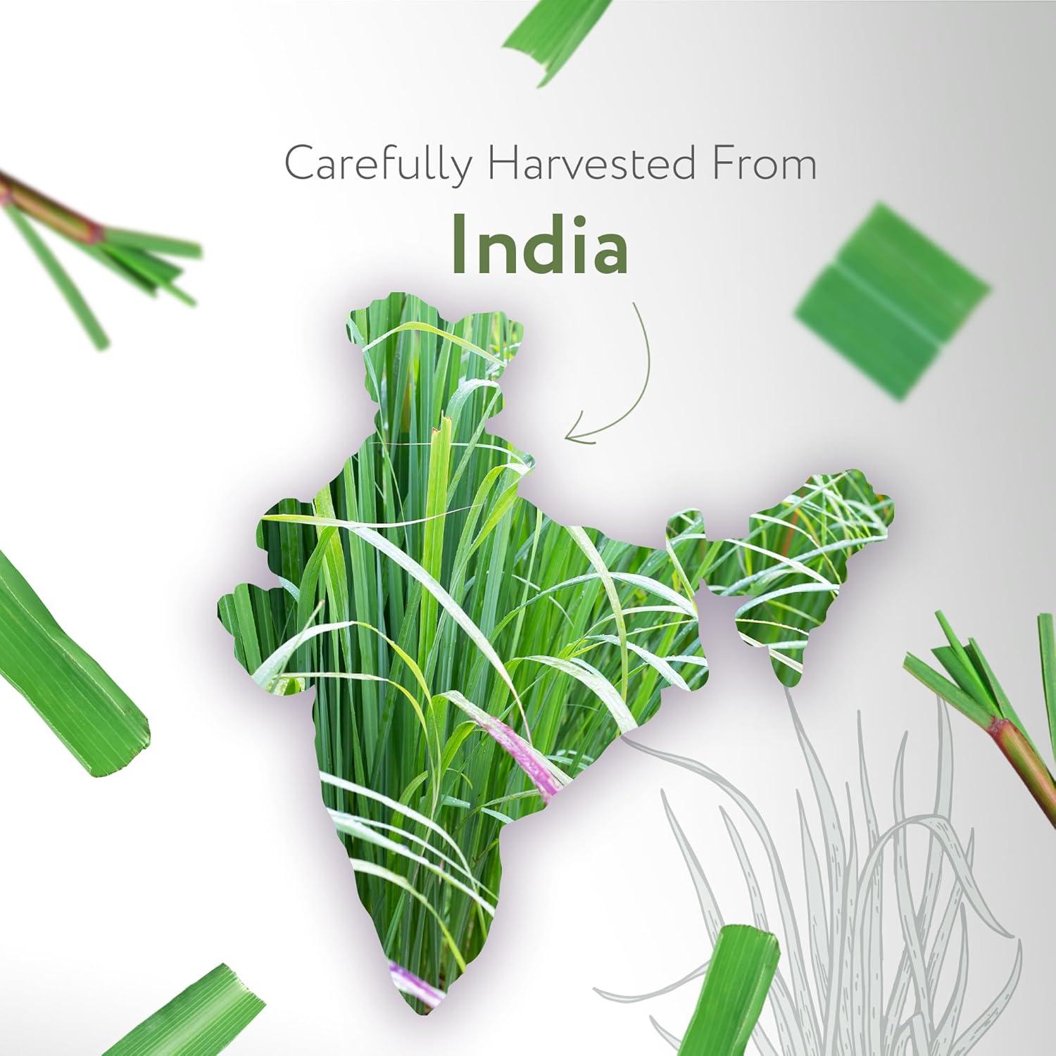 Aceite Esencial de Hierba Limón Orgánico HBNO - 475ml - Ideal para Cuidado de la Piel