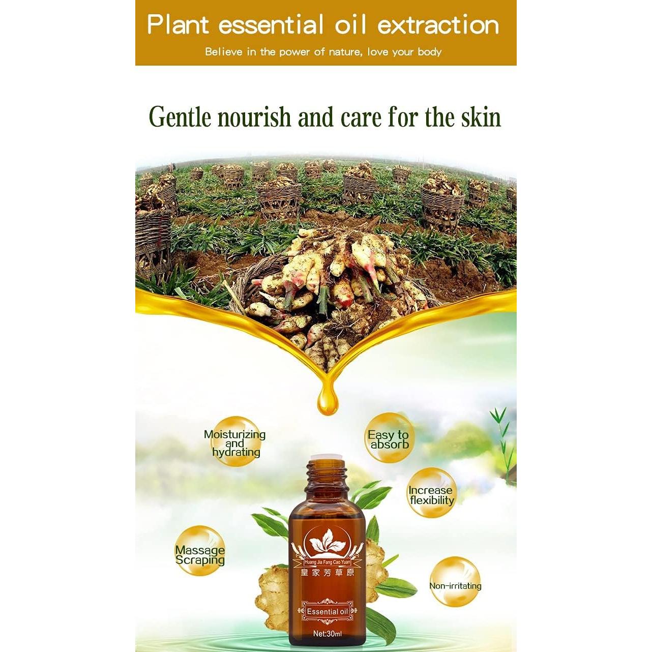 Paquete de 3 Aceites de Jengibre Meifen para Masaje 250ml