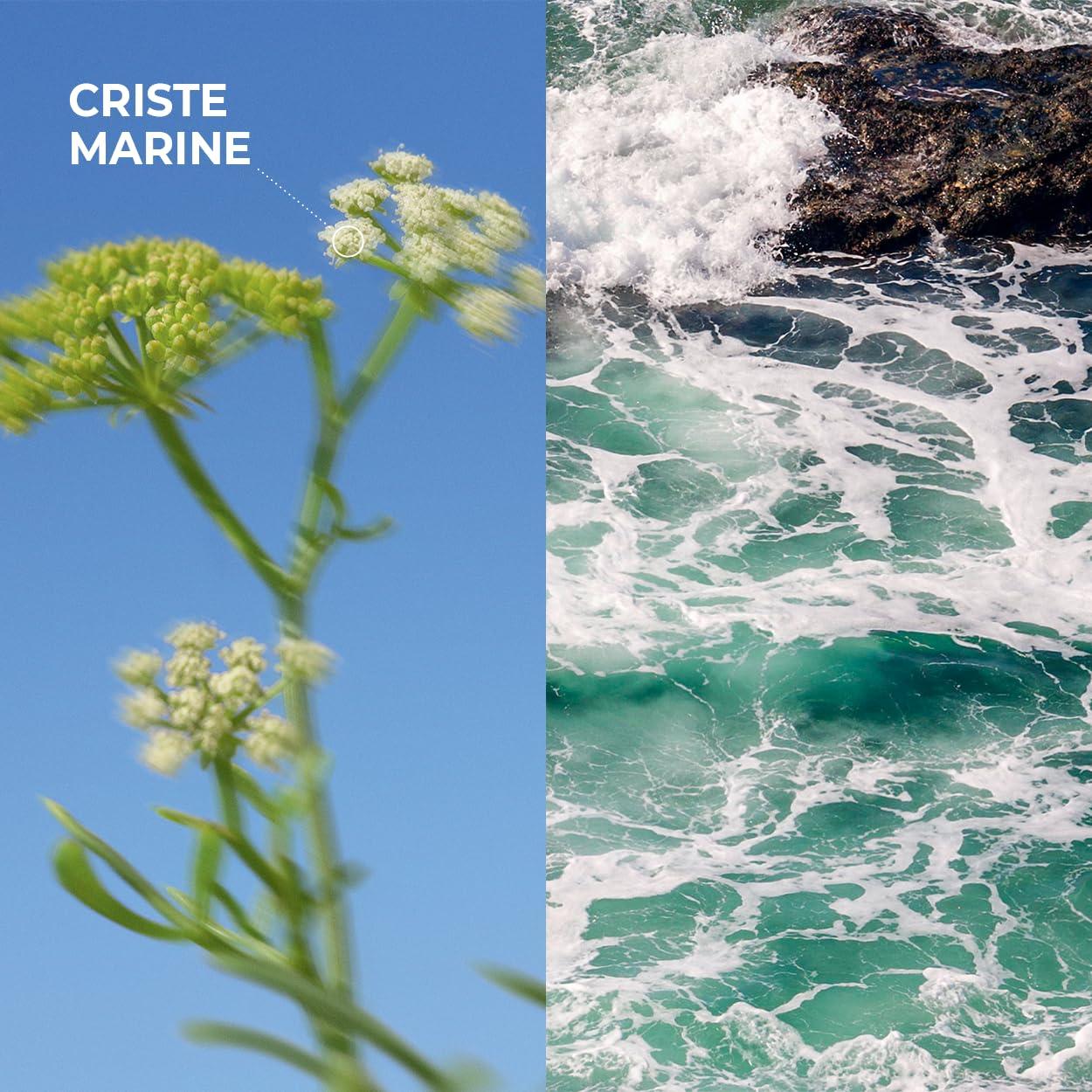 Gel de Ducha Yves Rocher Alga Salvaje Hinojo Marino 400 ml