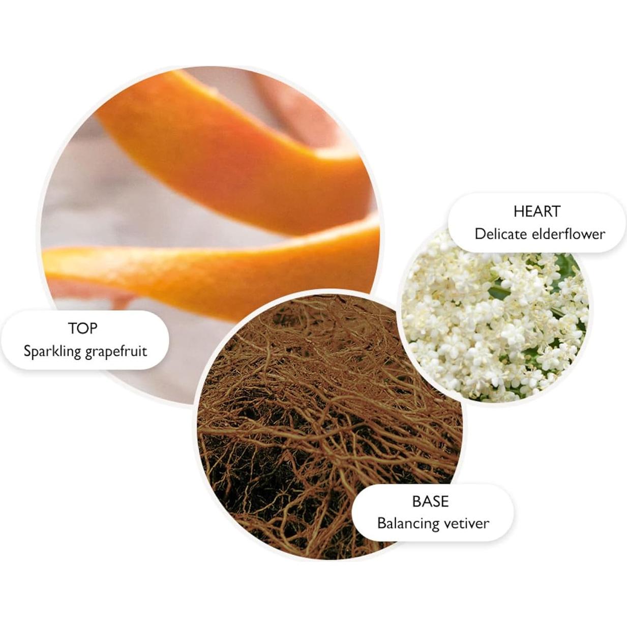 Loción Corporal Vintage Flor de Saco Molton Brown 330g