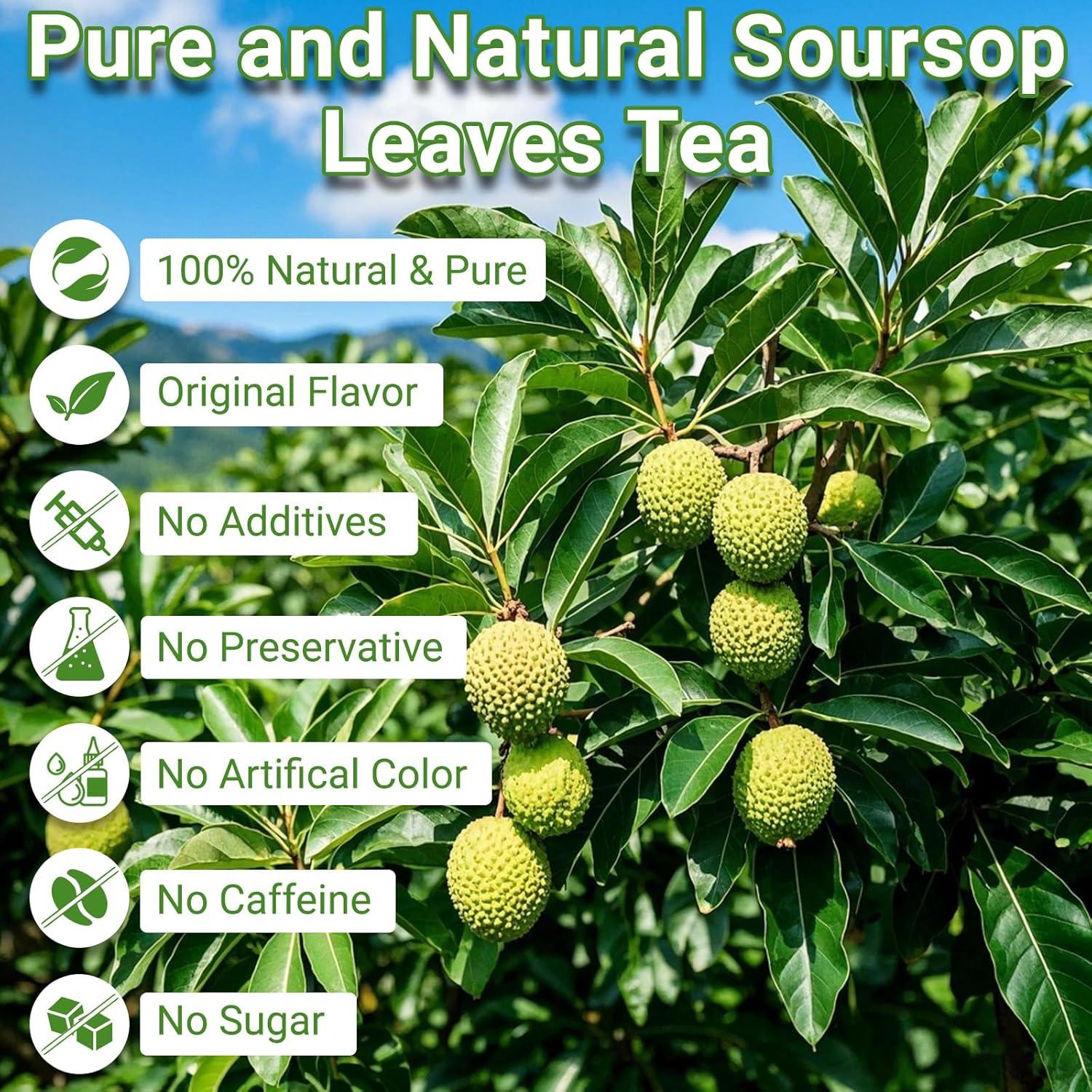 Té de Hojas de Guanábana Solisleaf - 100 Bolsitas Naturales